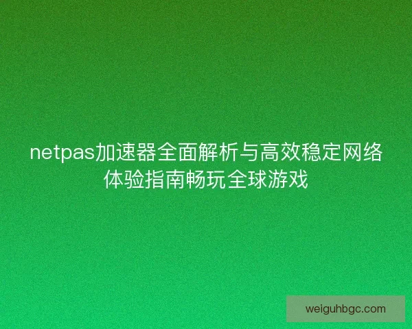 netpas加速器全面解析与高效稳定网络体验指南畅玩全球游戏