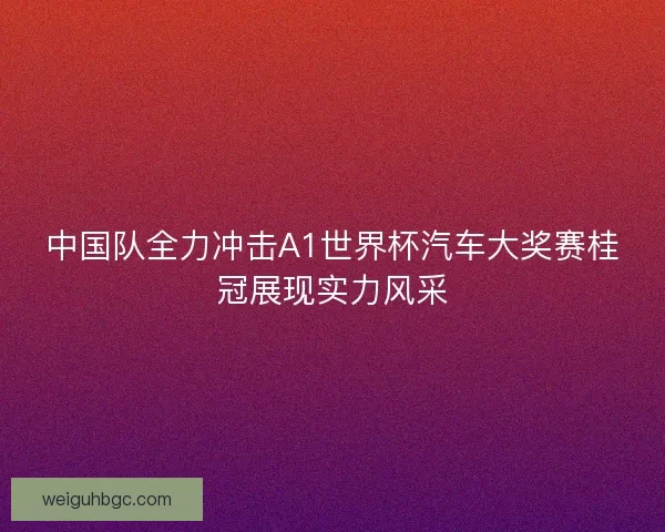 中国队全力冲击A1世界杯汽车大奖赛桂冠展现实力风采