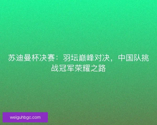 苏迪曼杯决赛：羽坛巅峰对决，中国队挑战冠军荣耀之路